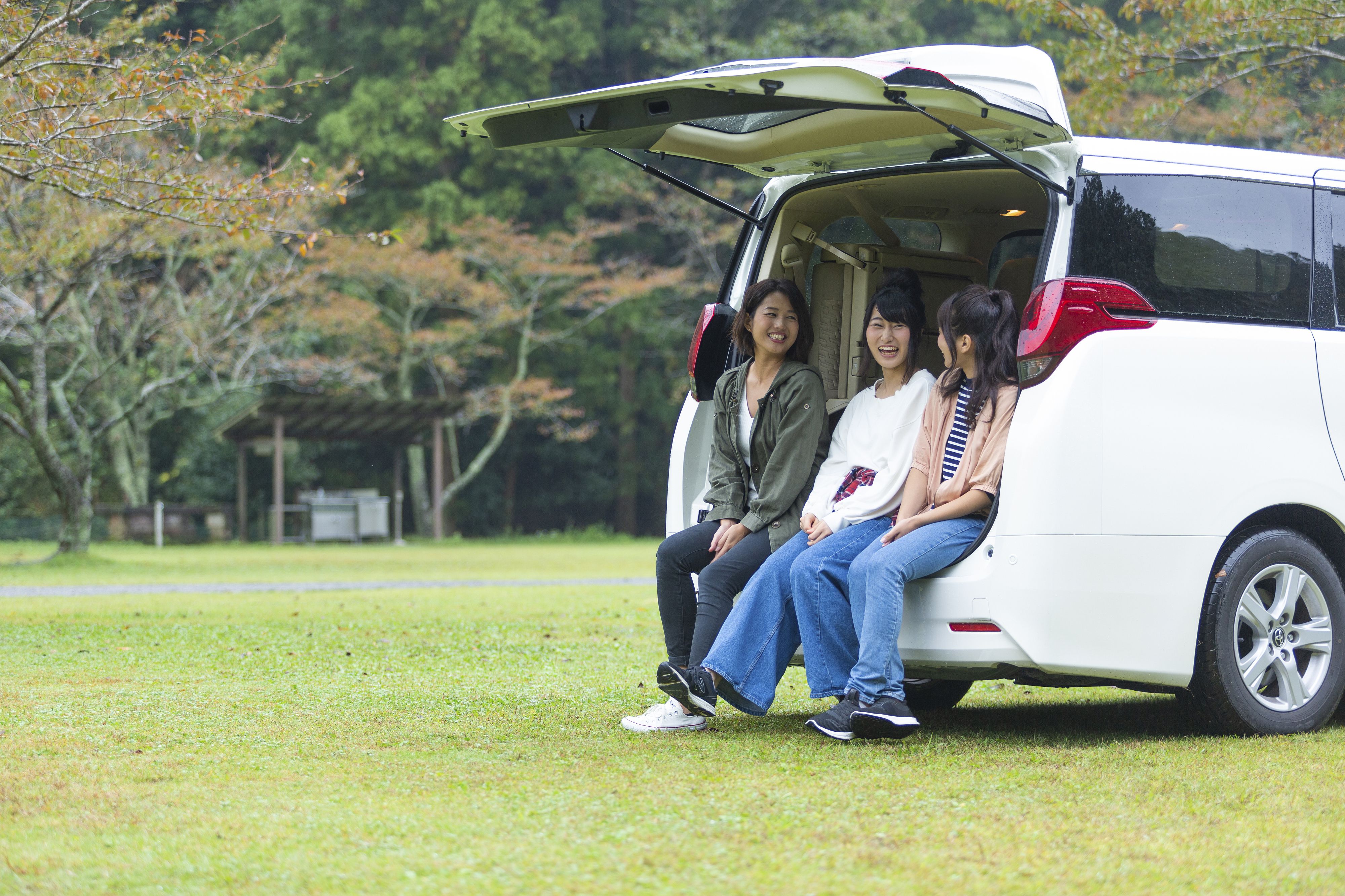 花瓣素材_ _193085073.jpg